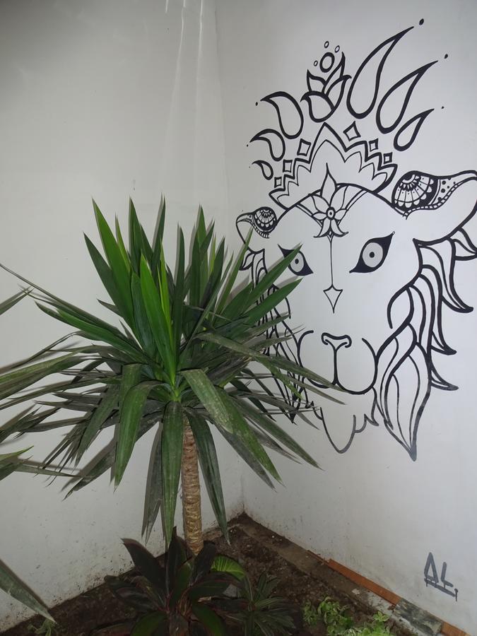 Hostal Cozy Wasi *